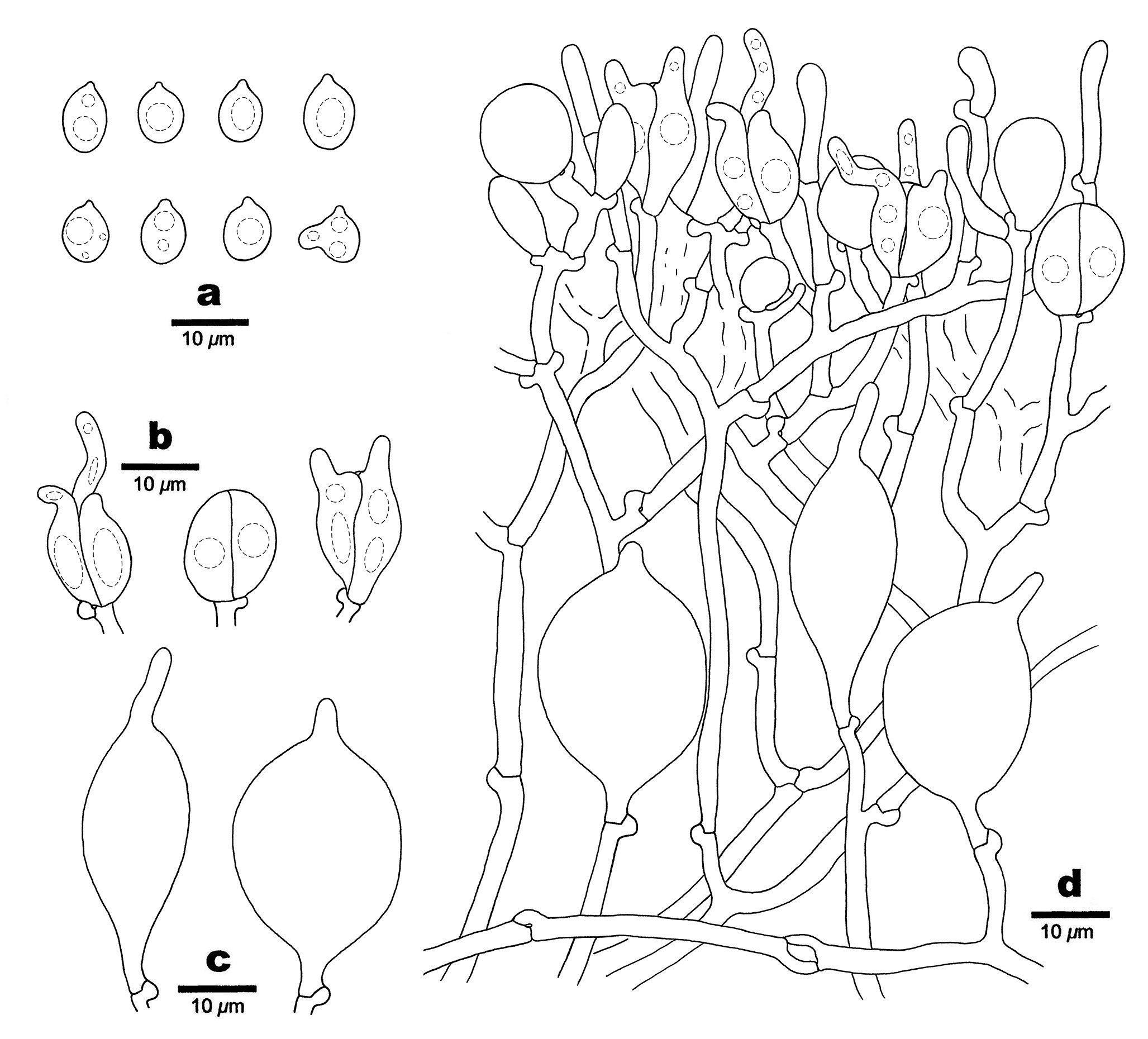 Figure 91